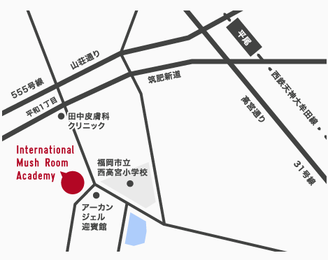 〒815-0071　福岡県福岡市南区平和2丁目6-10